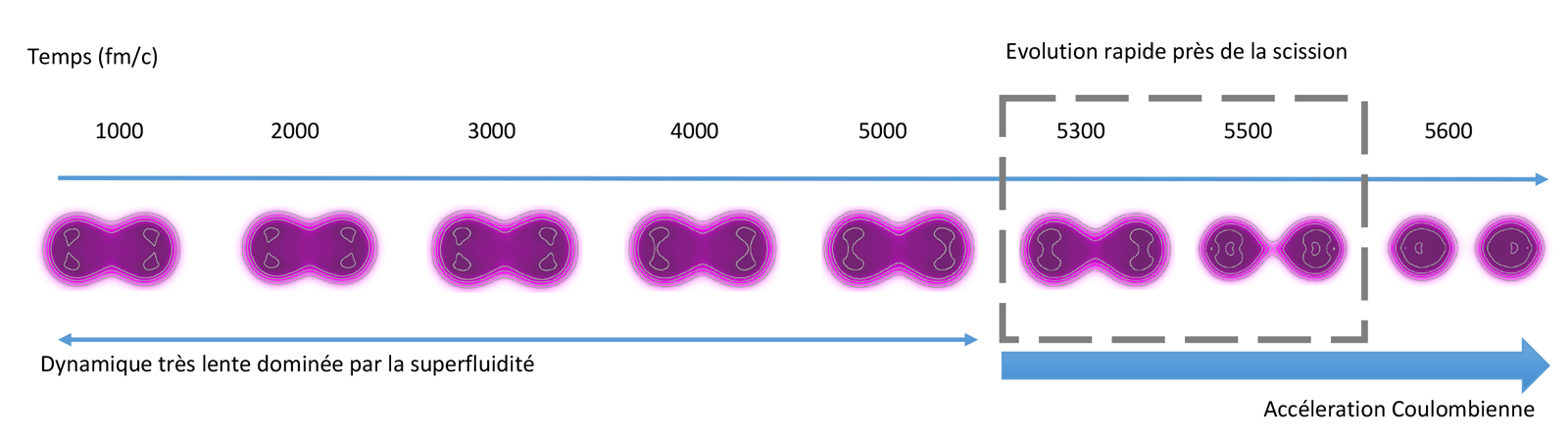 fission